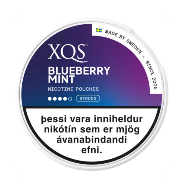 XQS BLUEBERRY MINT